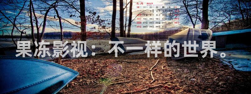 果冻影视：不一样的世界。