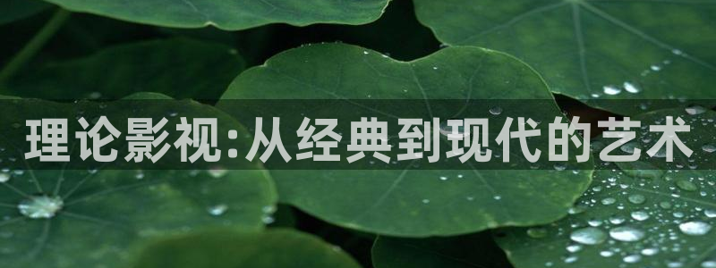 理论影视:从经典到现代的艺术