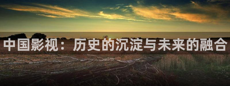 中国影视：历史的沉淀与未来的融合
