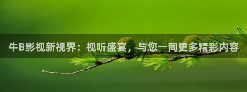 牛B影视新视界：视听盛宴，与您一同更多精彩内容