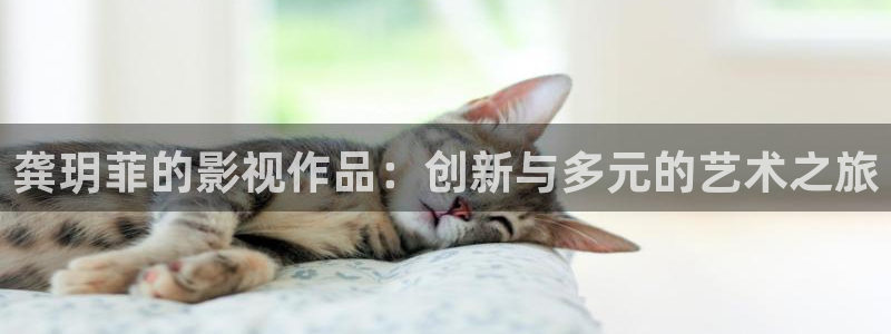 龚玥菲的影视作品：创新与多元的艺术之旅