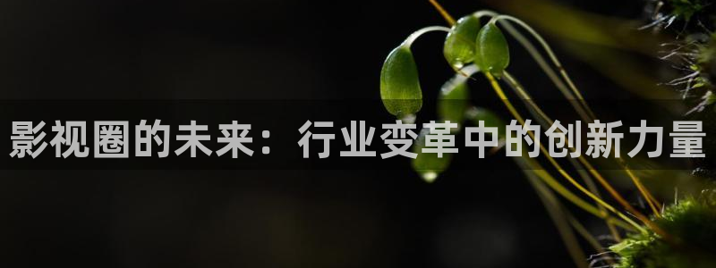 影视圈的未来：行业变革中的创新力量