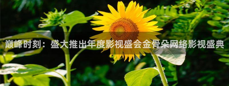 巅峰时刻：盛大推出年度影视盛会金骨朵网络影视盛典