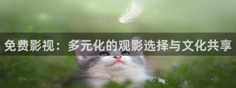 免费影视：多元化的观影选择与文化共享