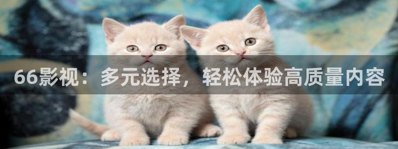 66影视：多元选择，轻松体验高质量内容