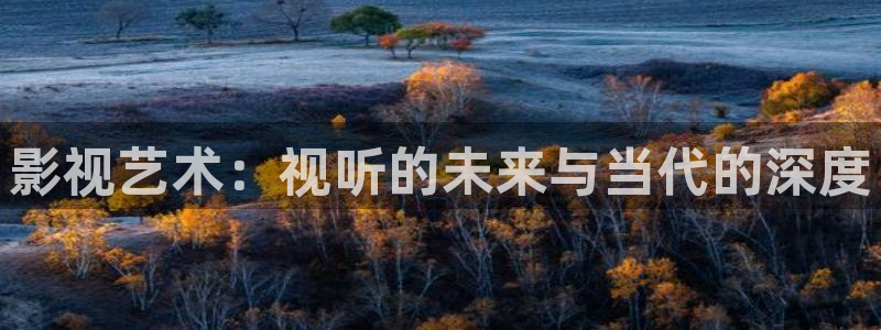 影视艺术：视听的未来与当代的深度