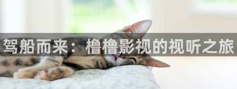 驾船而来：橹橹影视的视听之旅