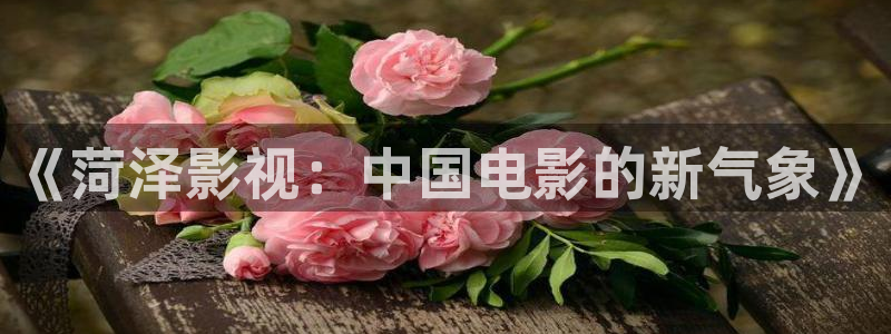 《菏泽影视：中国电影的新气象》