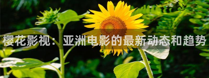 樱花影视：亚洲电影的最新动态和趋势